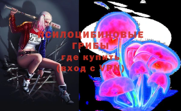 Альфа ПВП Балабаново