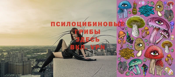 Альфа ПВП Балабаново