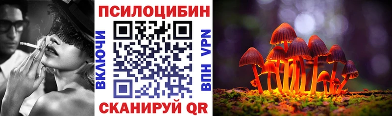 Галлюциногенные грибы Psilocybine cubensis  дарк нет официальный сайт  Гусев 