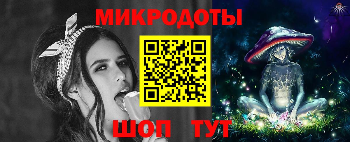 Гусев  Галлюциногенные грибы Psilocybe  Вход с VPN 