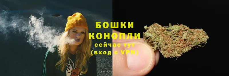 как найти закладки  Гусев  даркнет Telegram  Бошки Шишки SATIVA & INDICA 