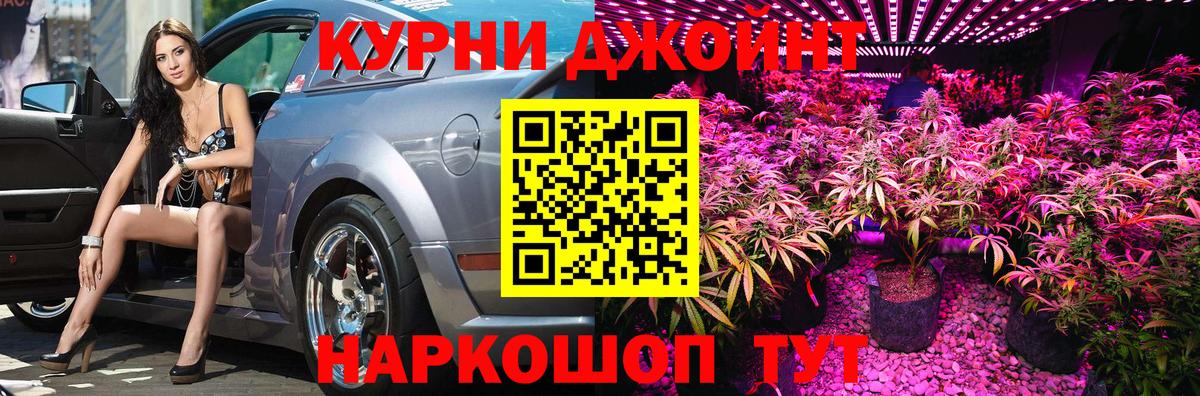 Бошки марихуана планчик Гусев